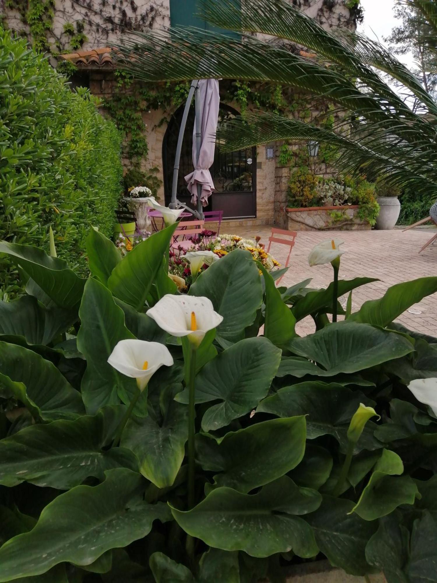 Auberge Les Aromes Grasse Dış mekan fotoğraf